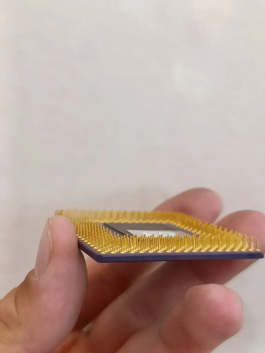 CPU کف طلا|قطعات و لوازم جانبی رایانه|اصفهان, کوی ولی عصر|دیوار