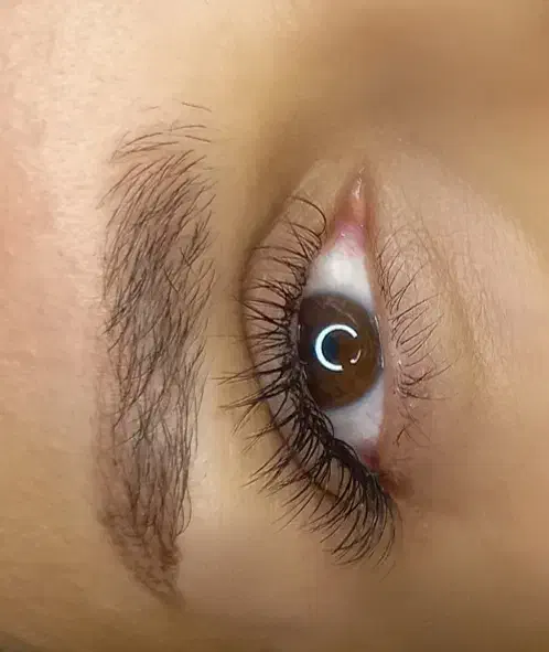 اکستنشن مژه با تخفیف یلدایی|خدمات آرایشگری و زیبایی|لنگرود, |دیوار