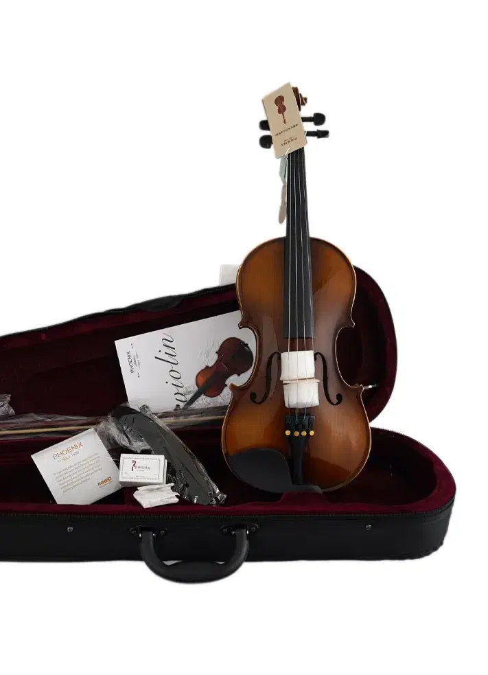 ویالون فونیکسMVP101H|ویولن|تهران, مهران (سیدخندان)|دیوار