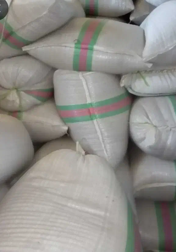 شلتوک شمیم|عمدهفروشی|نورآباد ممسنی, |دیوار