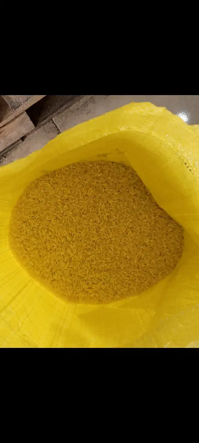 برنج فجر|عمدهفروشی|یاسوج, |دیوار