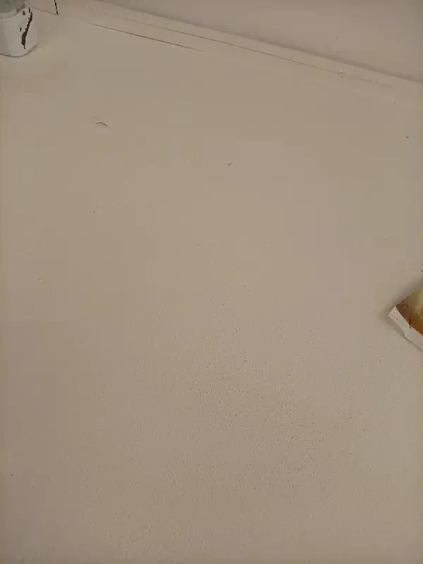 سفید کاری و گچ خاک|خدمات پیشه و مهارت|مبارکه, |دیوار