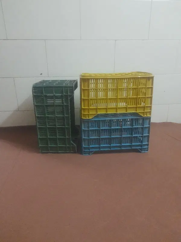 سبد در نو|عمده‌فروشی|زارچ, |دیوار