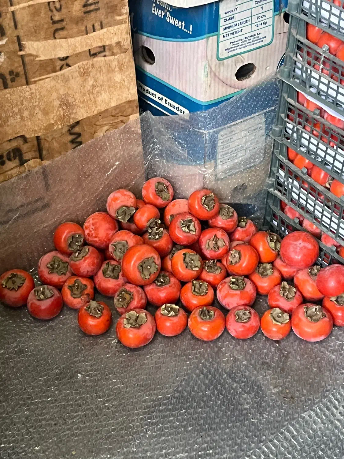 خرمالو درجه یک خوشمزه کرج عسل|خوردنی و آشامیدنی|محمدشهر, محمدشهر|دیوار