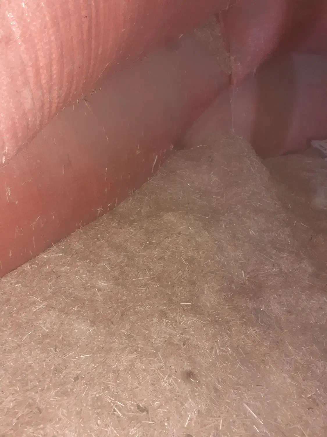 کاه گندم دیم|لوازم جانبی حیوانات|لالجین, |دیوار