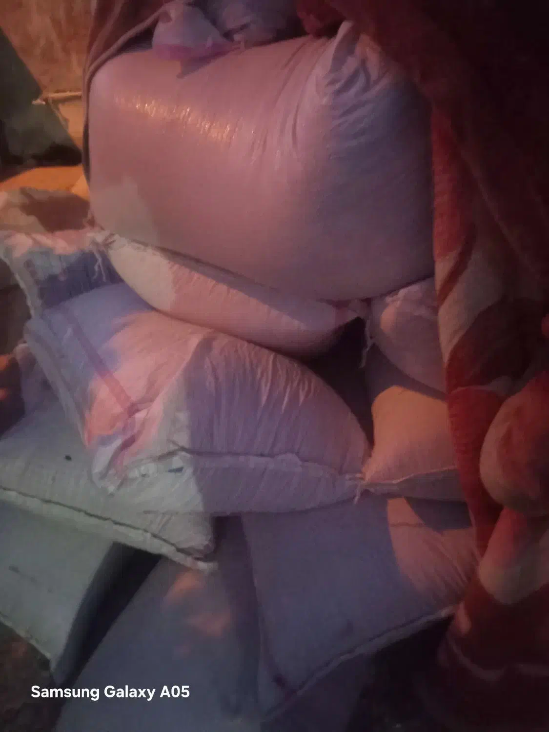 ۴۰ کیسه گندم شبرنگ بجاری شده زیر قیمت دولتی|حراج|سرپل ذهاب, |دیوار