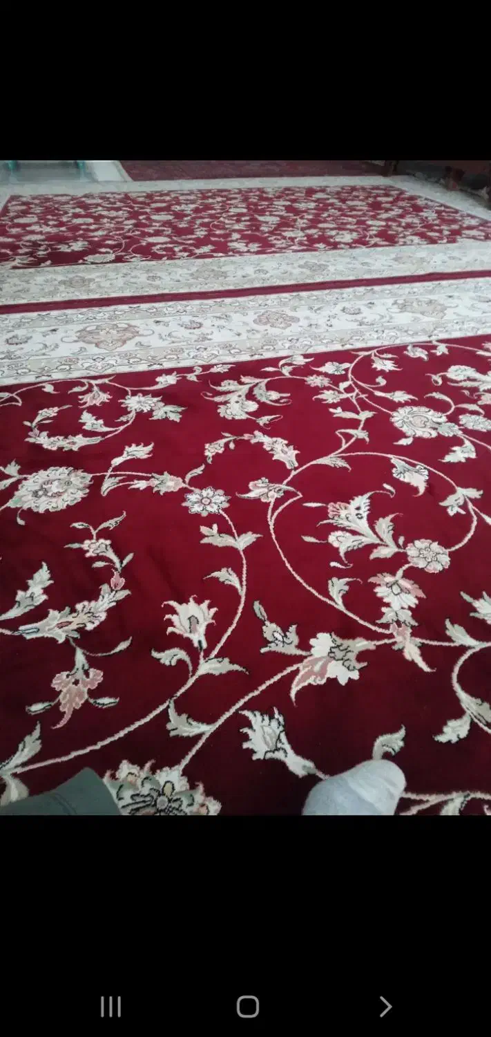 قالی|فرش|گرگان, |دیوار