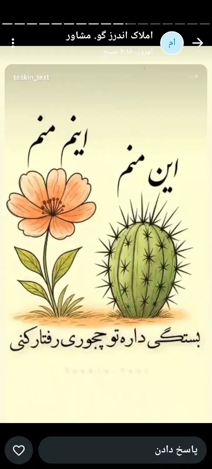 3000متر زمین 6دانگ حاشیه کمربندی آسمان|فروش دفتر صنعتی، کشاورزی، تجاری|بیرجند, |دیوار