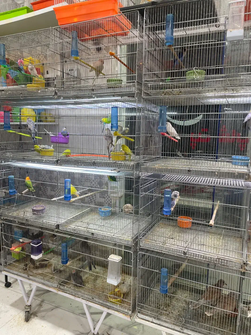 قفس هشت خان|لوازم جانبی حیوانات|بیرجند, |دیوار