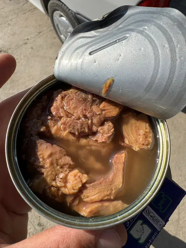 تن ماهی|خوردنی و آشامیدنی|شیراز, گل سرخ|دیوار