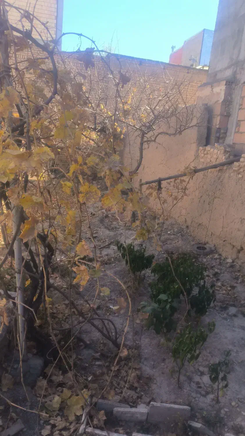 رهن یک منزل مسکونی|اجارهٔ خانه و ویلا|قوچان, |دیوار