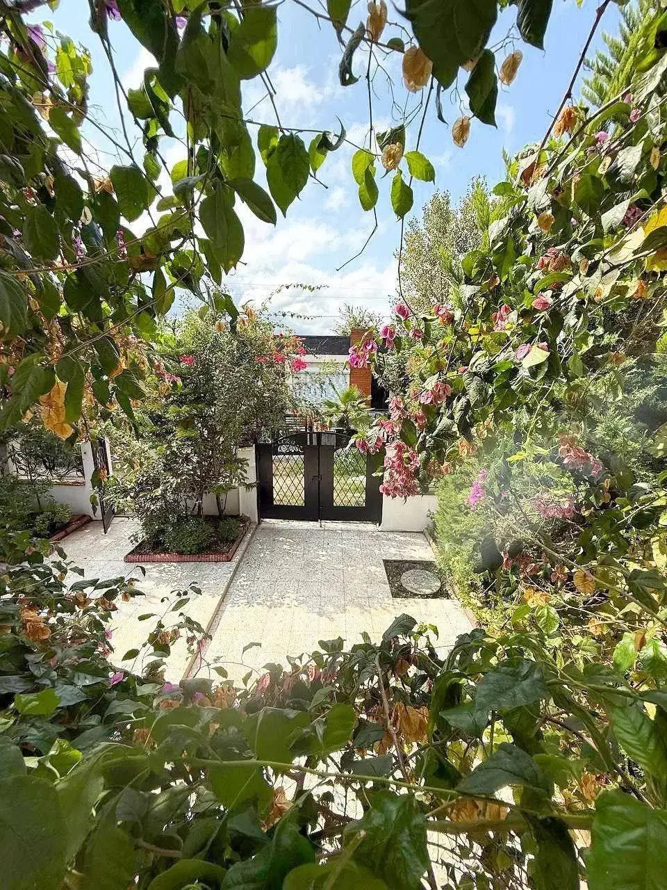 ویلاباغ نیمپیلوت۲۵۰متری نمارومی/سند۶دانگ/فروش فوری|فروش خانه و ویلا|امامزاده عبدالله, |دیوار