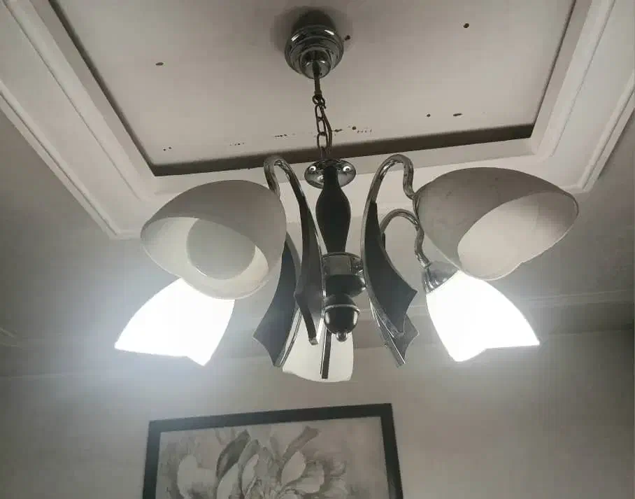 لوستر های پنج شاخه هر کدام ۲۵۰۰۰۰۰ میلیون|لوستر و چراغ آویز|تبریز, |دیوار