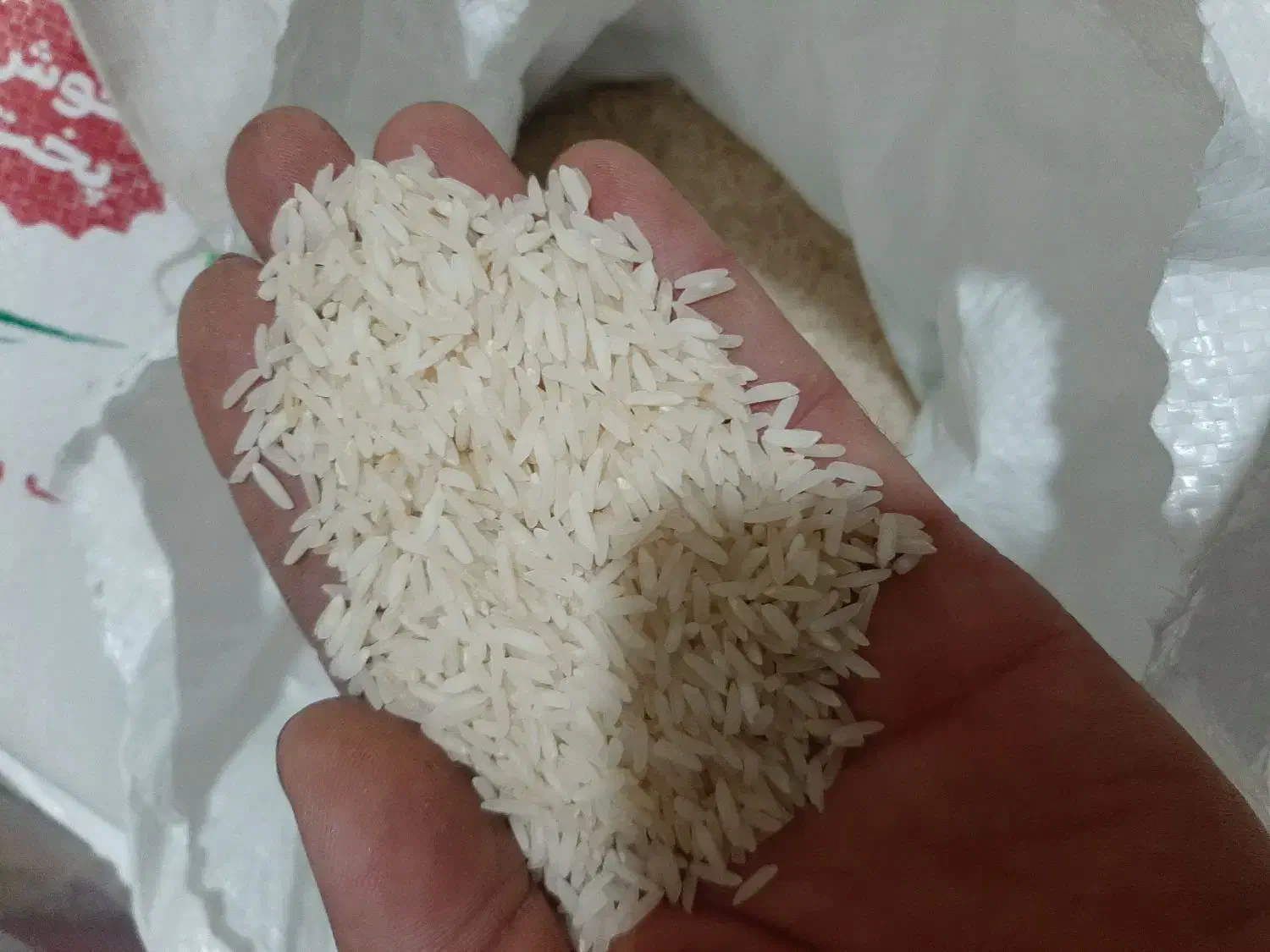 برنج طارم عطری به شرط|خوردنی و آشامیدنی|یزد, |دیوار