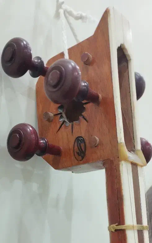 تار خوش صدا|سازهای سنتی|کاشمر, |دیوار