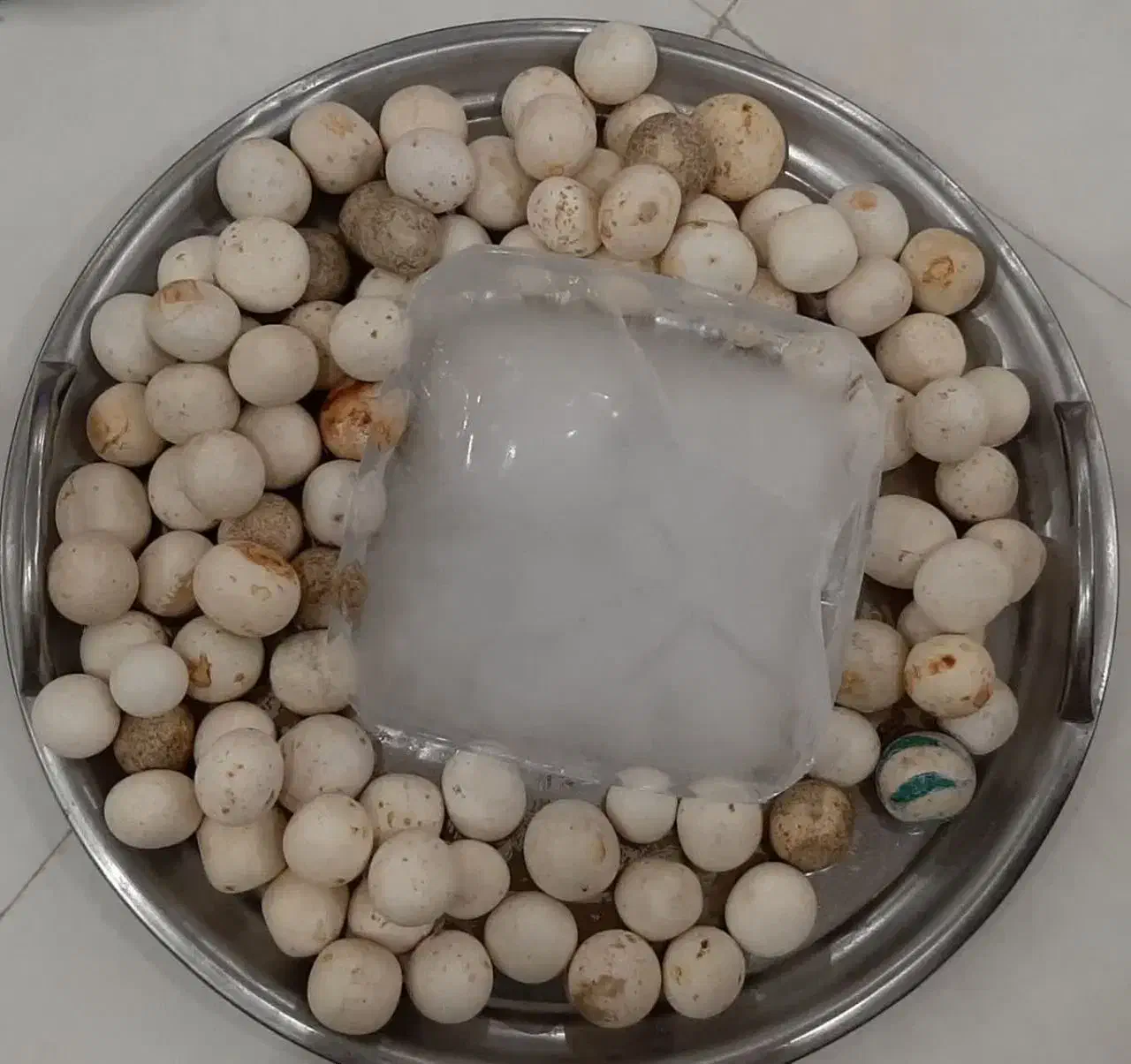 سنگ الماس یا آسیاب|کلکسیون اشیاء عتیقه|مشهد, توس (بلوار توس)|دیوار