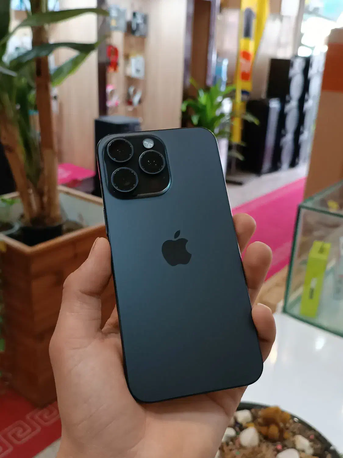 آیفون15پرومکس 256|موبایل|یزد, |دیوار