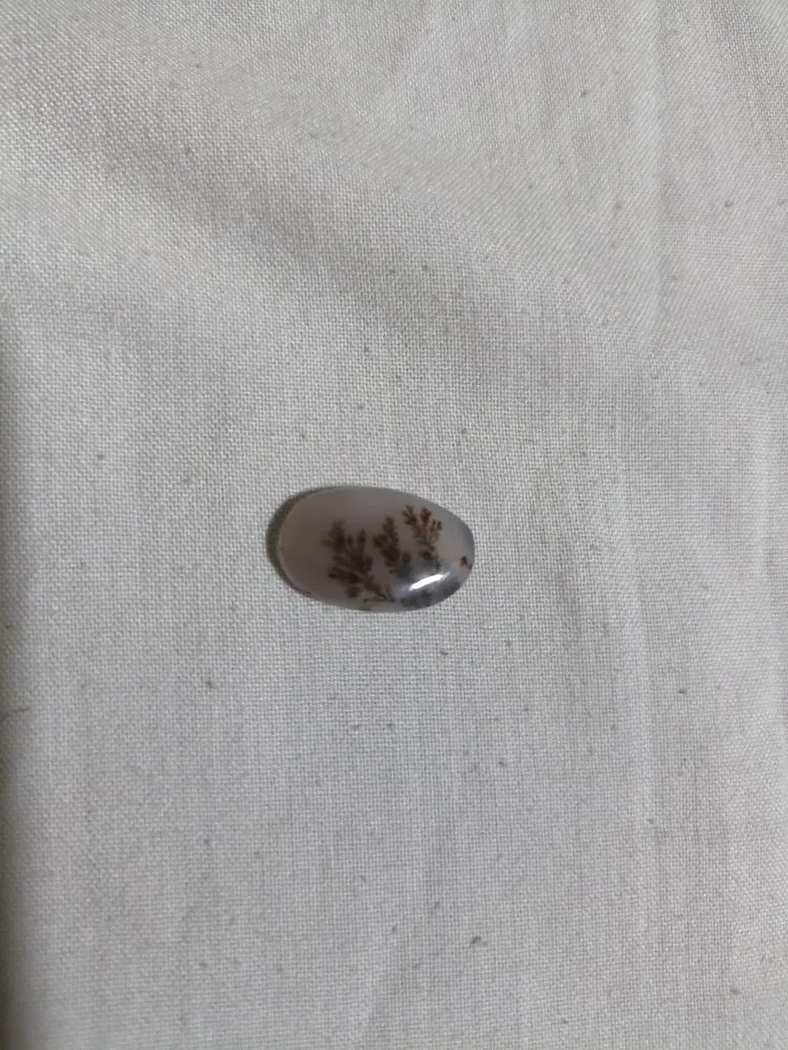 سنگ شجر|جواهرات|زنجان, |دیوار