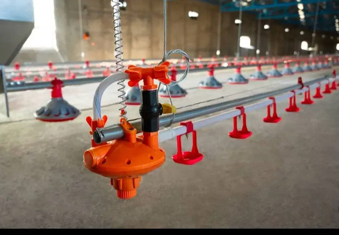 دانخوری بشقابی آبخوری|ماشینآلات صنعتی|شیراز, بعثت|دیوار