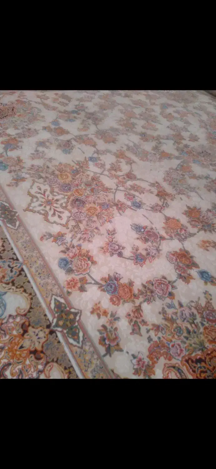 فرش ۶ متری ۱۲۰۰ شانه جفت|فرش|تبریز, |دیوار