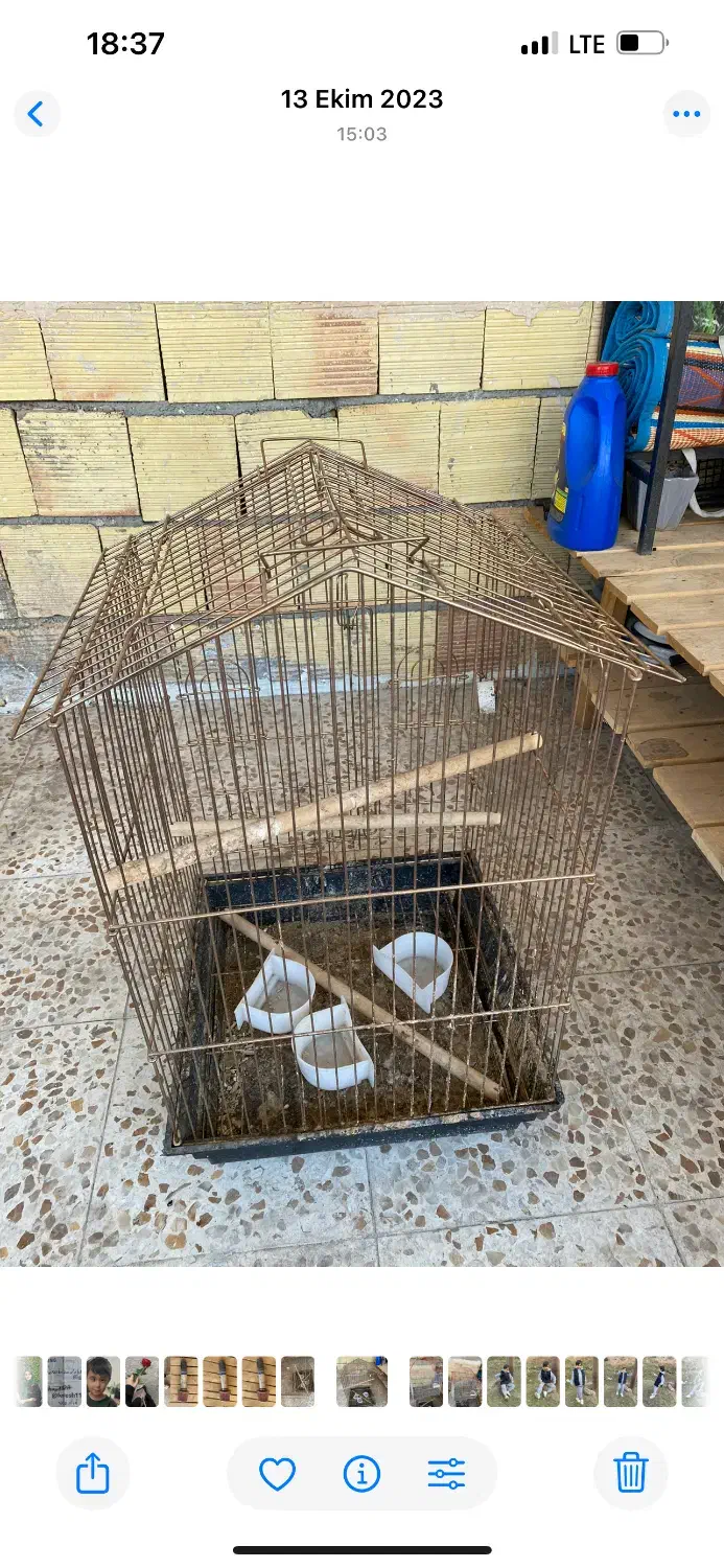 قفس پرنده|لوازم جانبی حیوانات|ارومیه, |دیوار