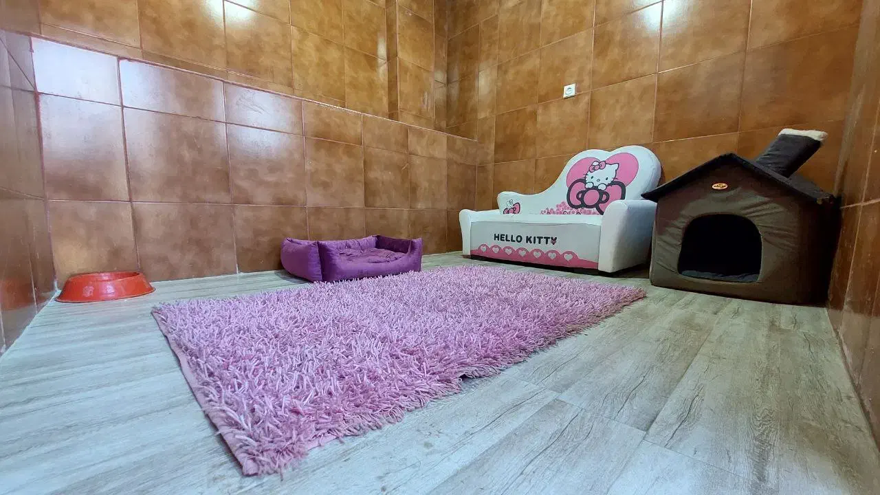 پانسیون سگ طولانی مدت|خدمات پیشه و مهارت|تهران, ایران|دیوار