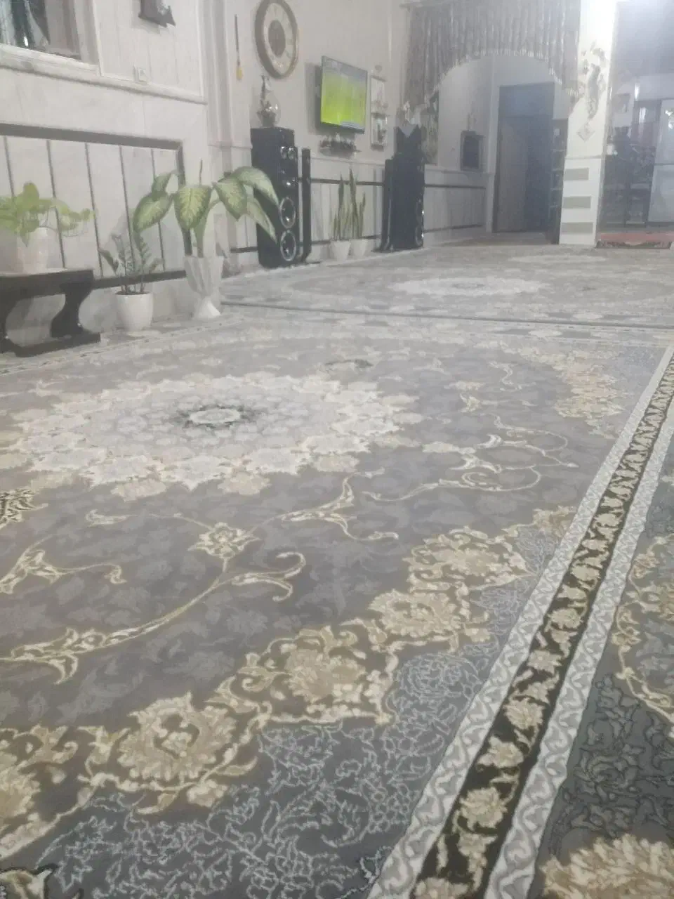 فرش دوازده متری|فرش|زابل, |دیوار