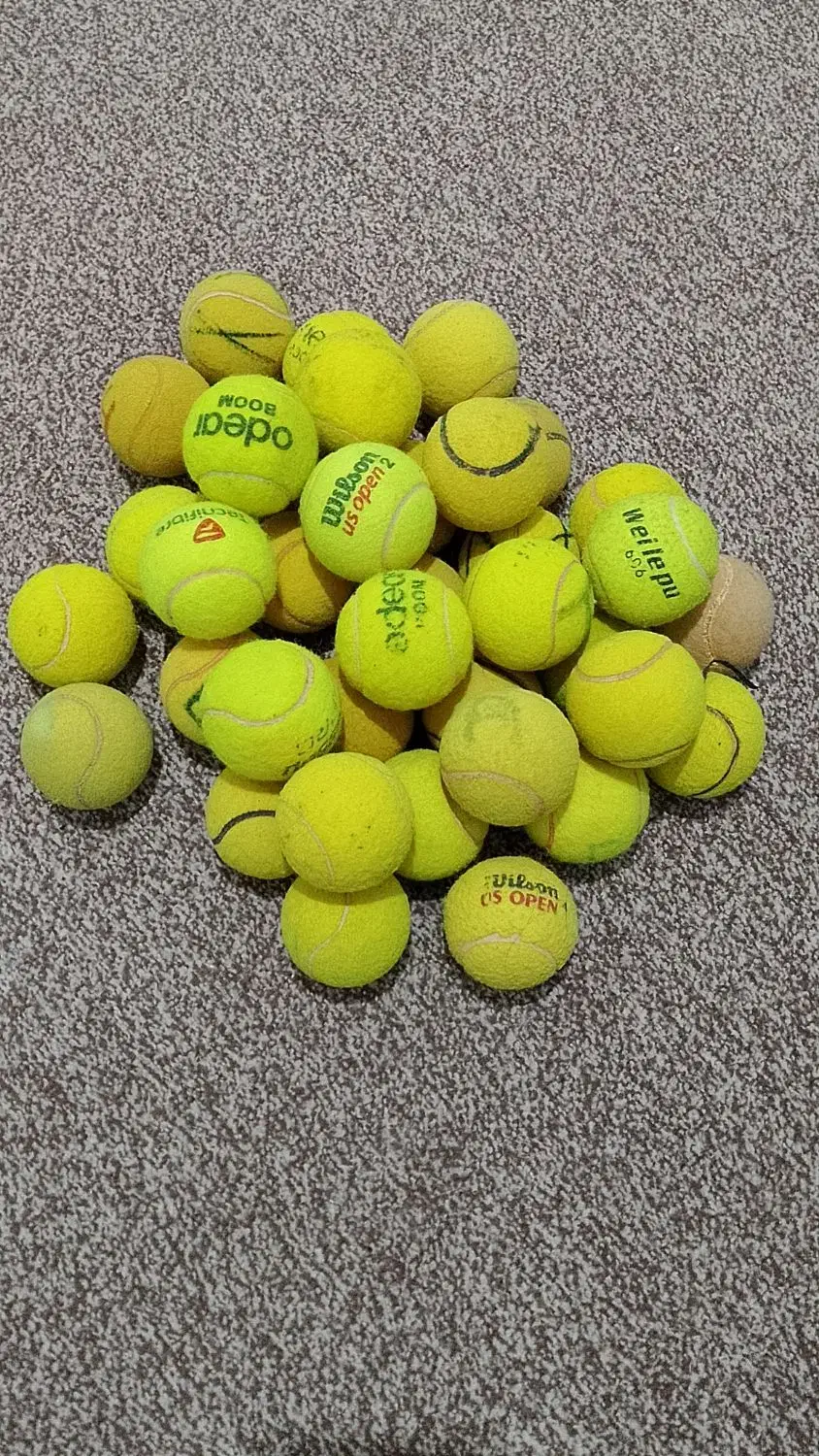 توپ تنیس|ورزشهای توپی|مشهد, حیدرآباد|دیوار