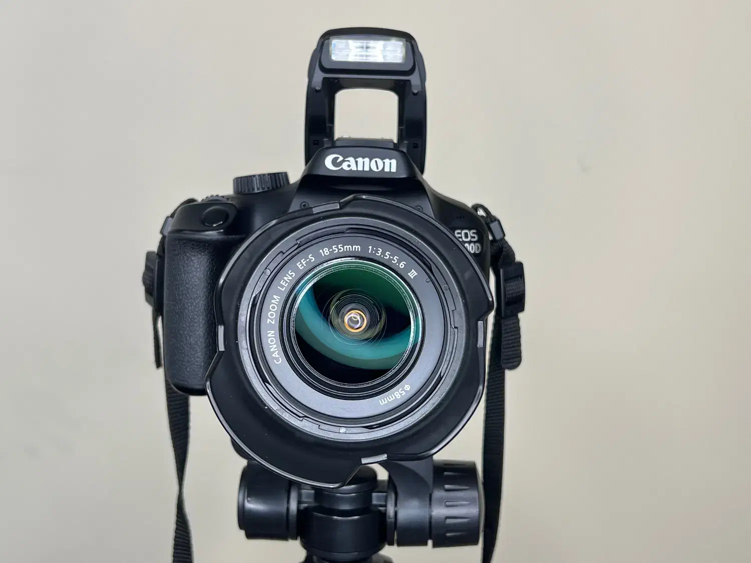 دوربین Canon 4000D سالم ،با گارانتی و جعبه اصلی|دوربین عکاسی و فیلم‌برداری|قدس, شهرک فرزان|دیوار