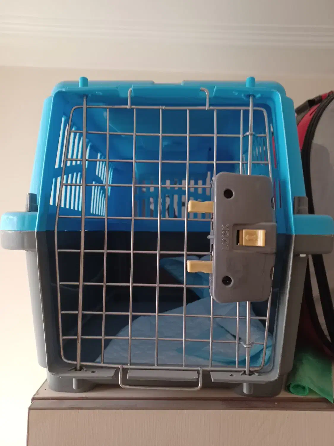 کیف و باکس حمل سگ|لوازم جانبی حیوانات|تهران, سهروردی|دیوار