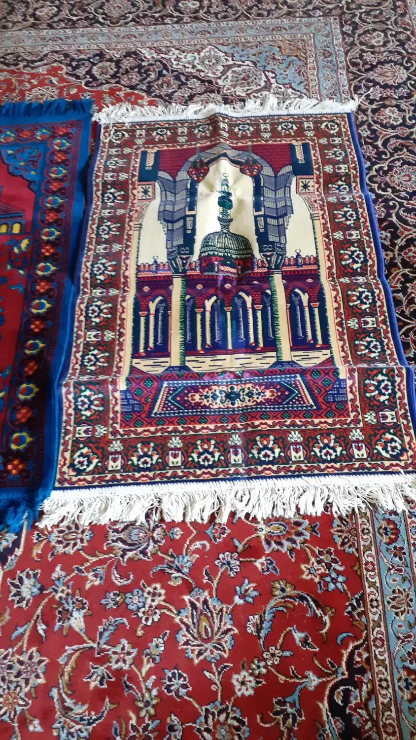 سجاده نماز|فرش|شیراز, شهرک جماران|دیوار
