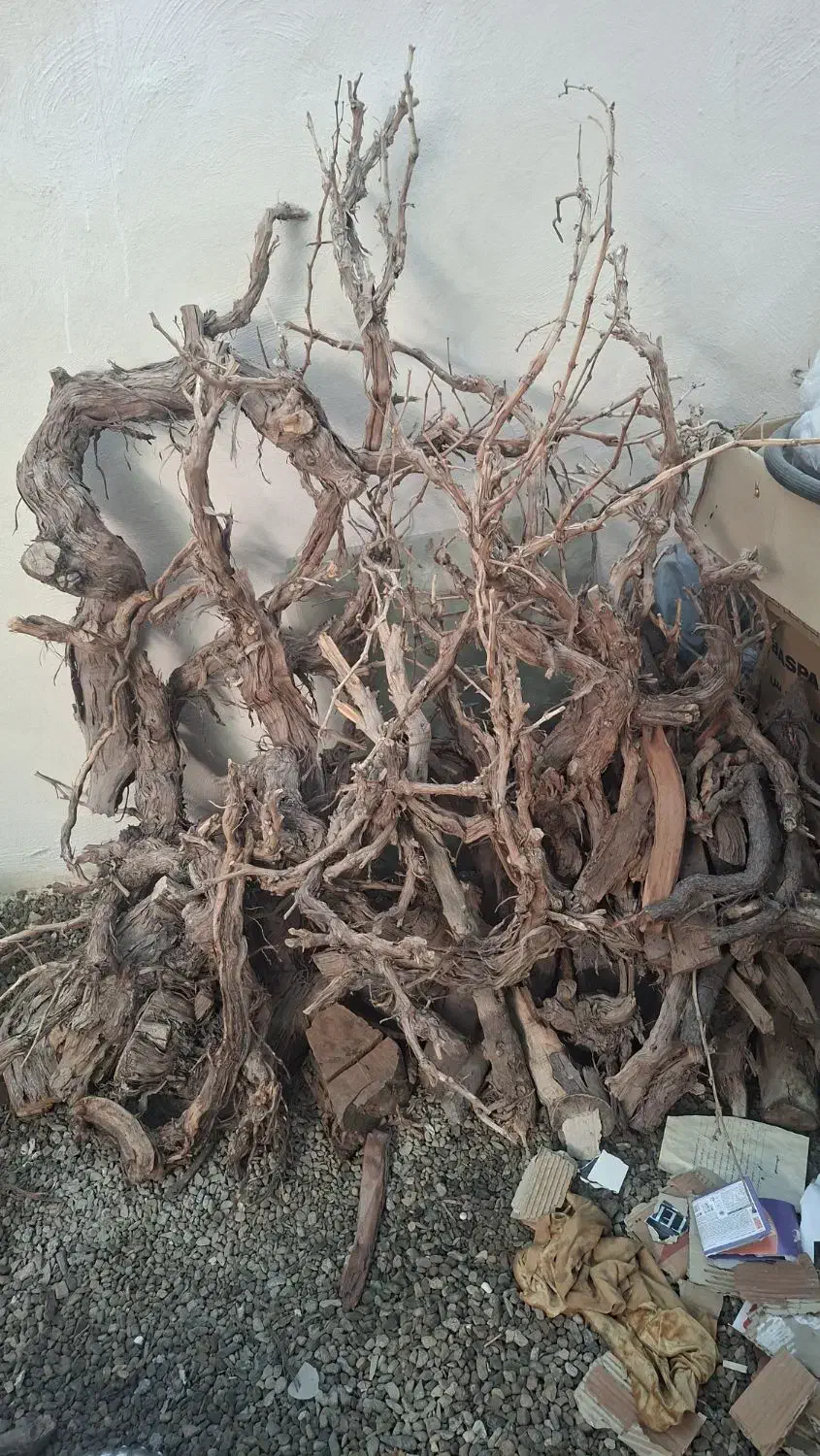 چوب انگور|صنایع دستی و سایر لوازم تزئینی|قنوات, |دیوار