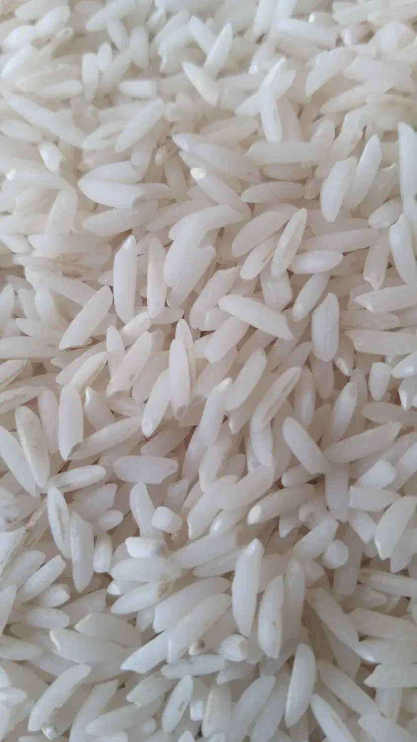 برنج دمسیاه اصل کلات نادر|خوردنی و آشامیدنی|یزد, |دیوار