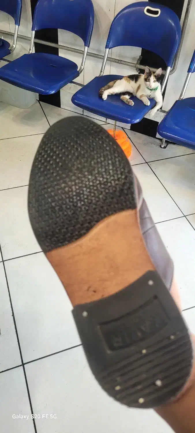 دمپایی آخوندی تمام چرم|کیف، کفش، کمربند|ارومیه, |دیوار