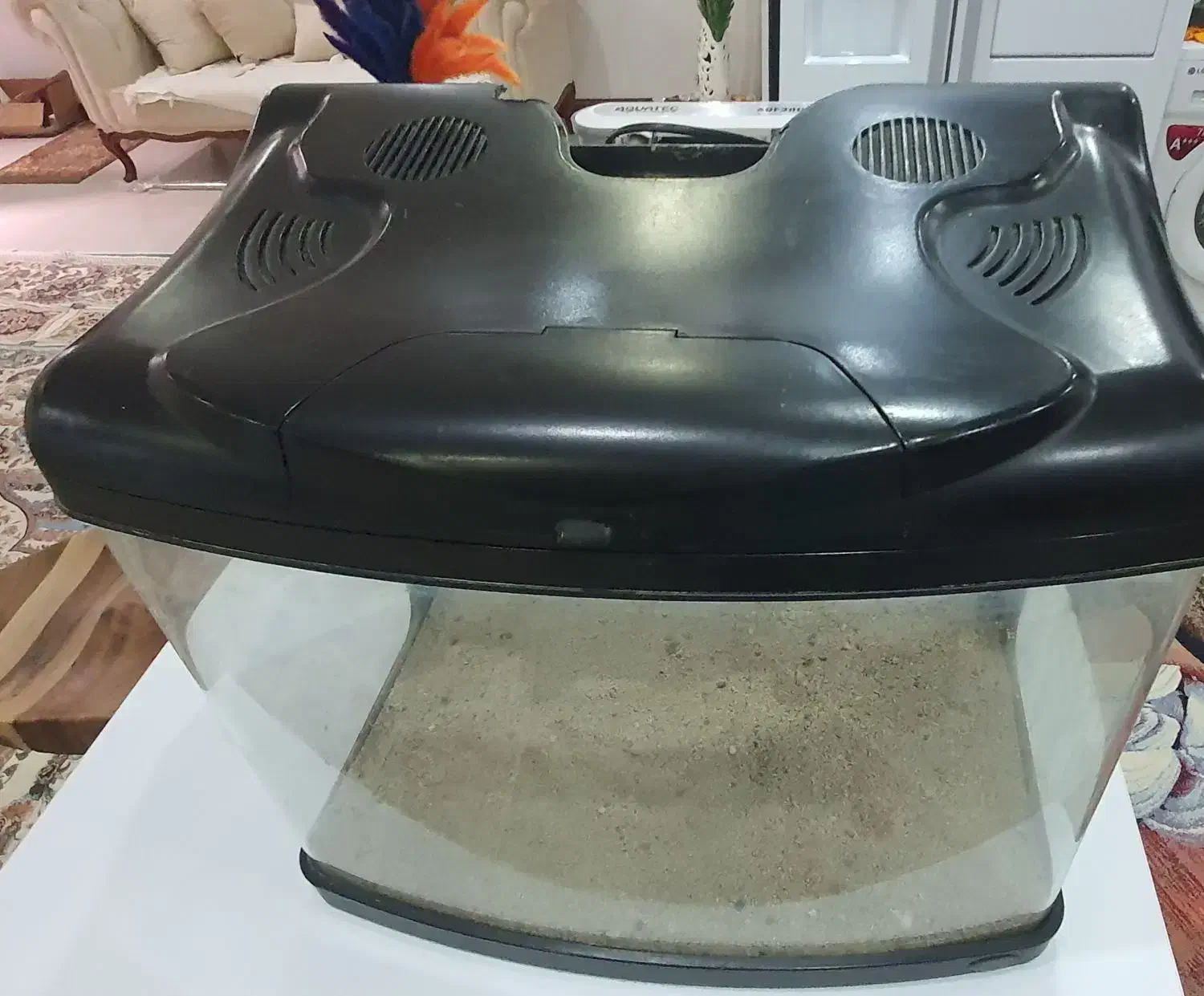 آکواریوم شرکتی هایلا|ماهی|کهریزک, |دیوار