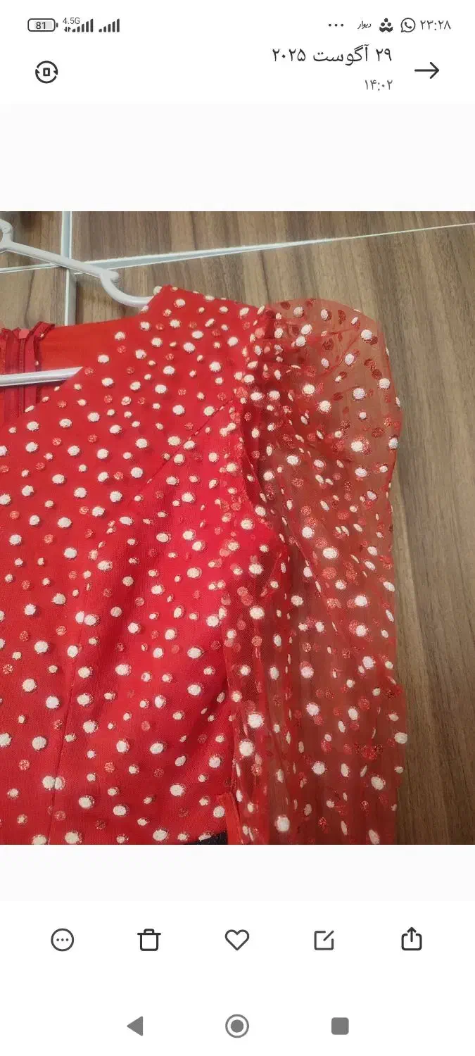 مجلسی|لباس|شیراز, کوشک میدان|دیوار