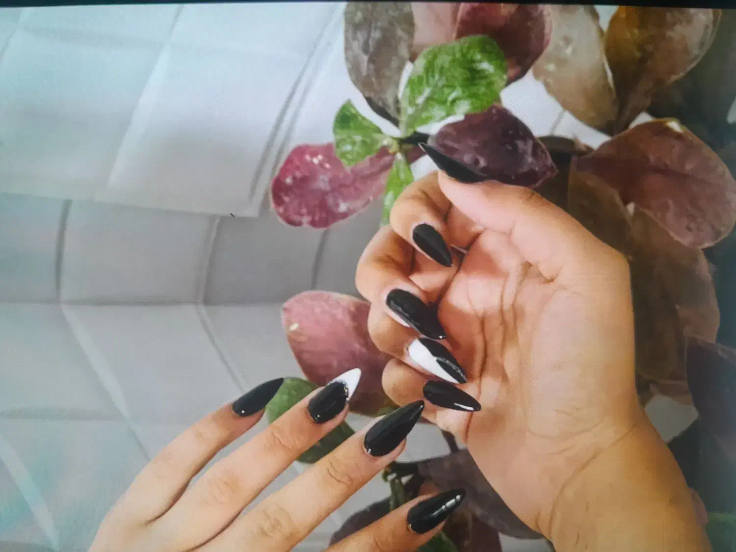 اف کاشت ناخن|خدمات آرایشگری و زیبایی|دهدشت, |دیوار