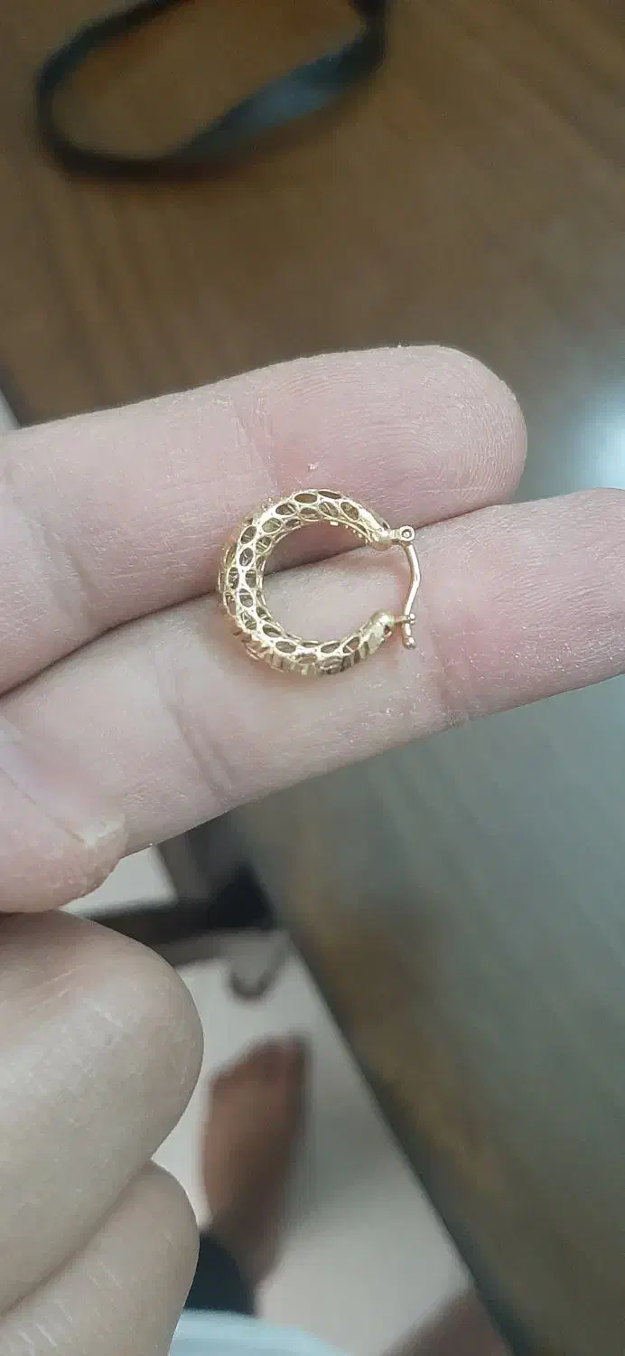 یک لنگه گوشوار گم شده|اشیا|اصفهان, سپاهانشهر|دیوار