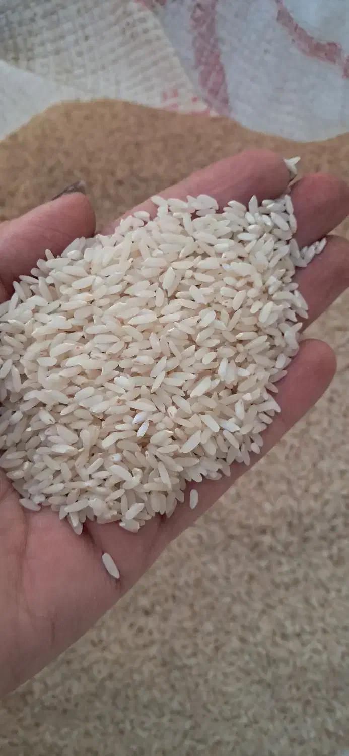 برنج عنبربو|خوردنی و آشامیدنی|دره شهر, |دیوار