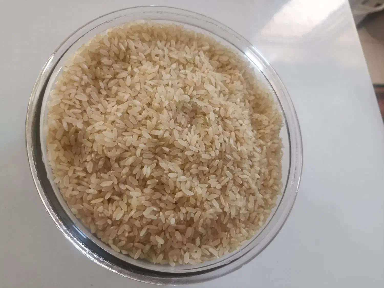 برنج کامفیروزی درجه یک|خوردنی و آشامیدنی|صدرا-فارس, فاز ۱|دیوار