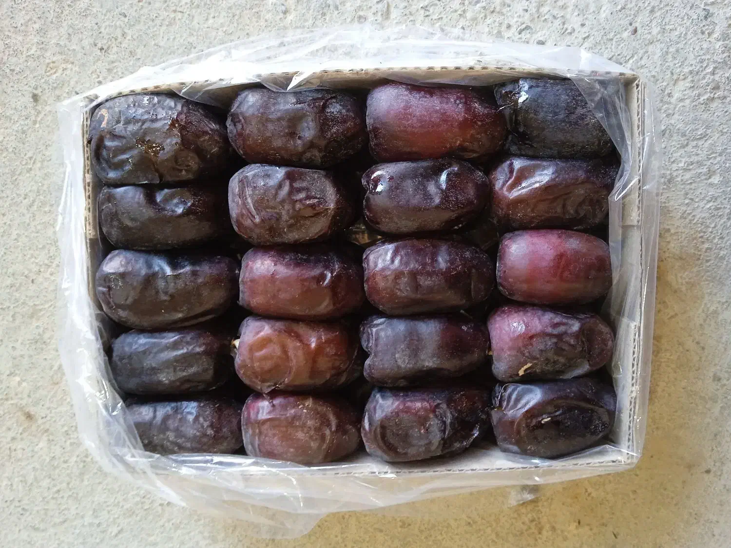 خرما دو ردیف کتابی|خوردنی و آشامیدنی|سیب و سوران, |دیوار