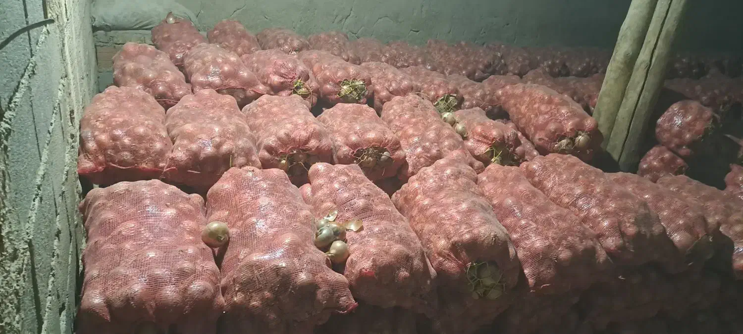 پیاز|عمده‌فروشی|فاروج, |دیوار