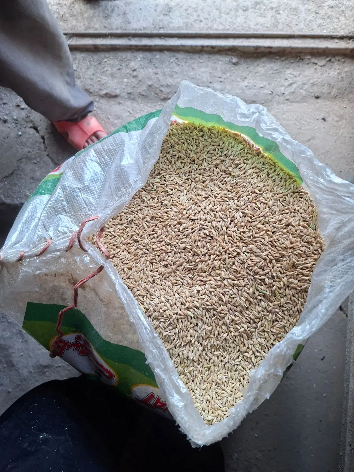جو تمیز|خوردنی و آشامیدنی|مریوان, |دیوار