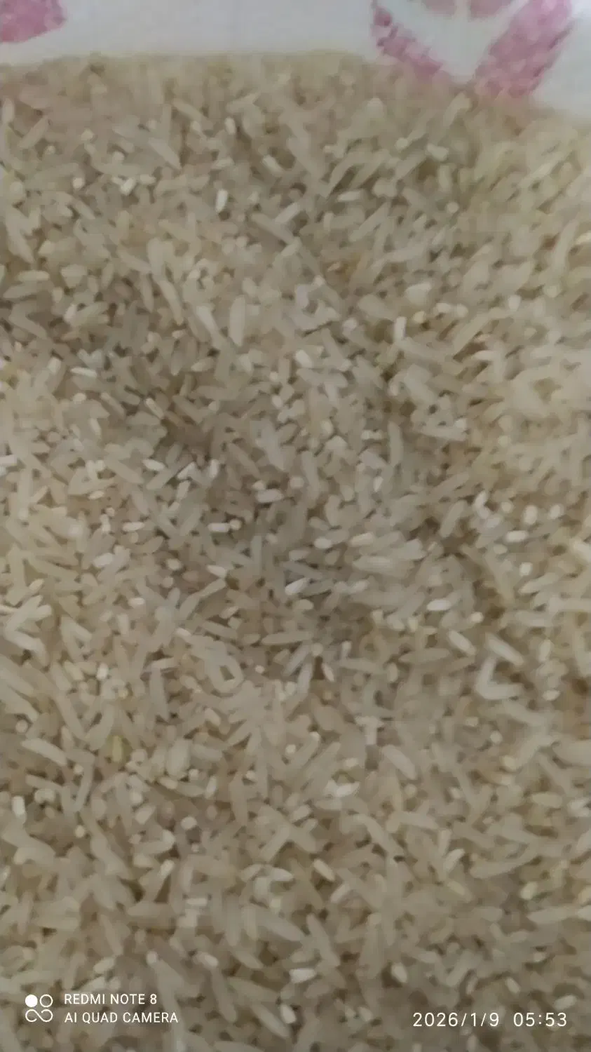 برنج فجر 90روزه.|خوردنی و آشامیدنی|گنبد کاووس, |دیوار