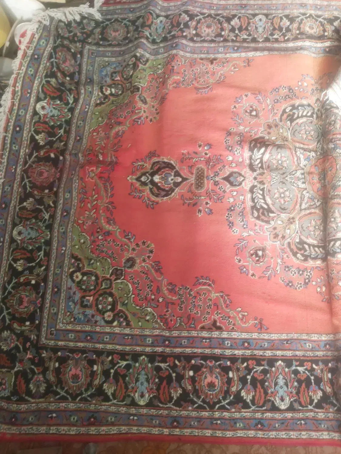 قالی زیبا و قشنگ|فرش|اهواز, چهارصد دستگاه|دیوار