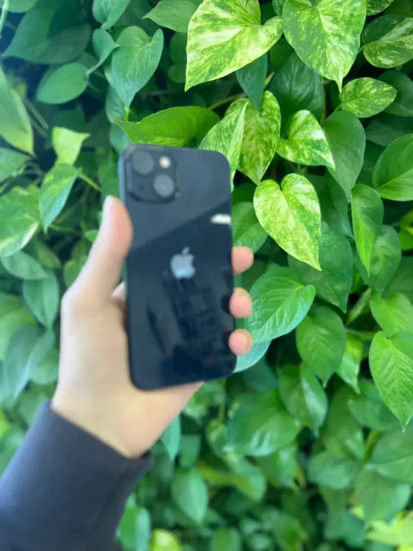 اپل iPhone 13 ، اقتصادی و به صرفه|موبایل|نجفآباد, هفده شهریور|دیوار