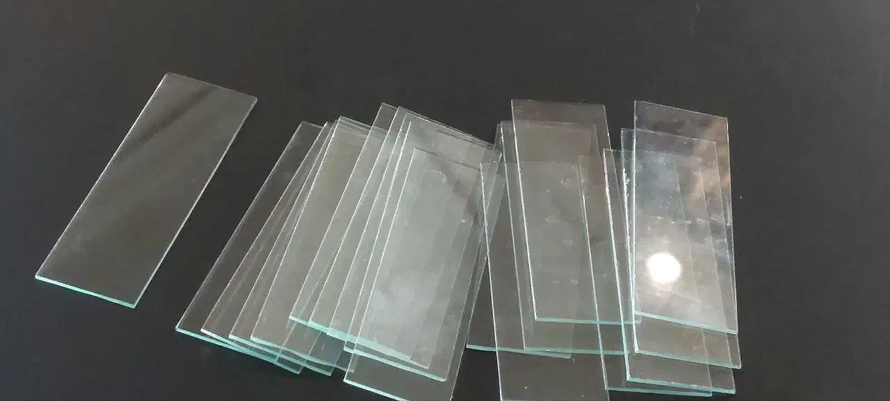 میکروسکوپ مدیک مدل MH-1200|اسباب‌‌بازی|سنندج, |دیوار