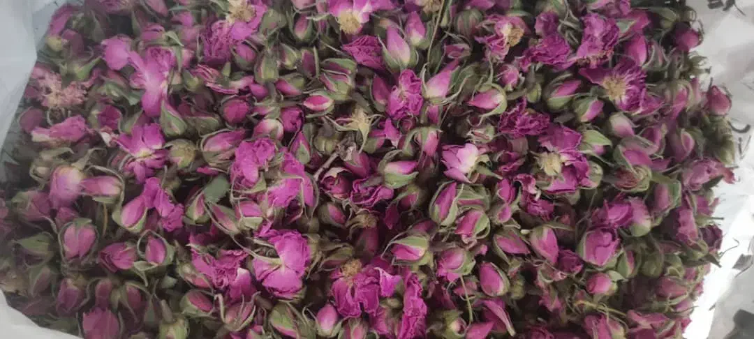 غنچه گل محمدی|خوردنی و آشامیدنی|شیراز, میانرود|دیوار