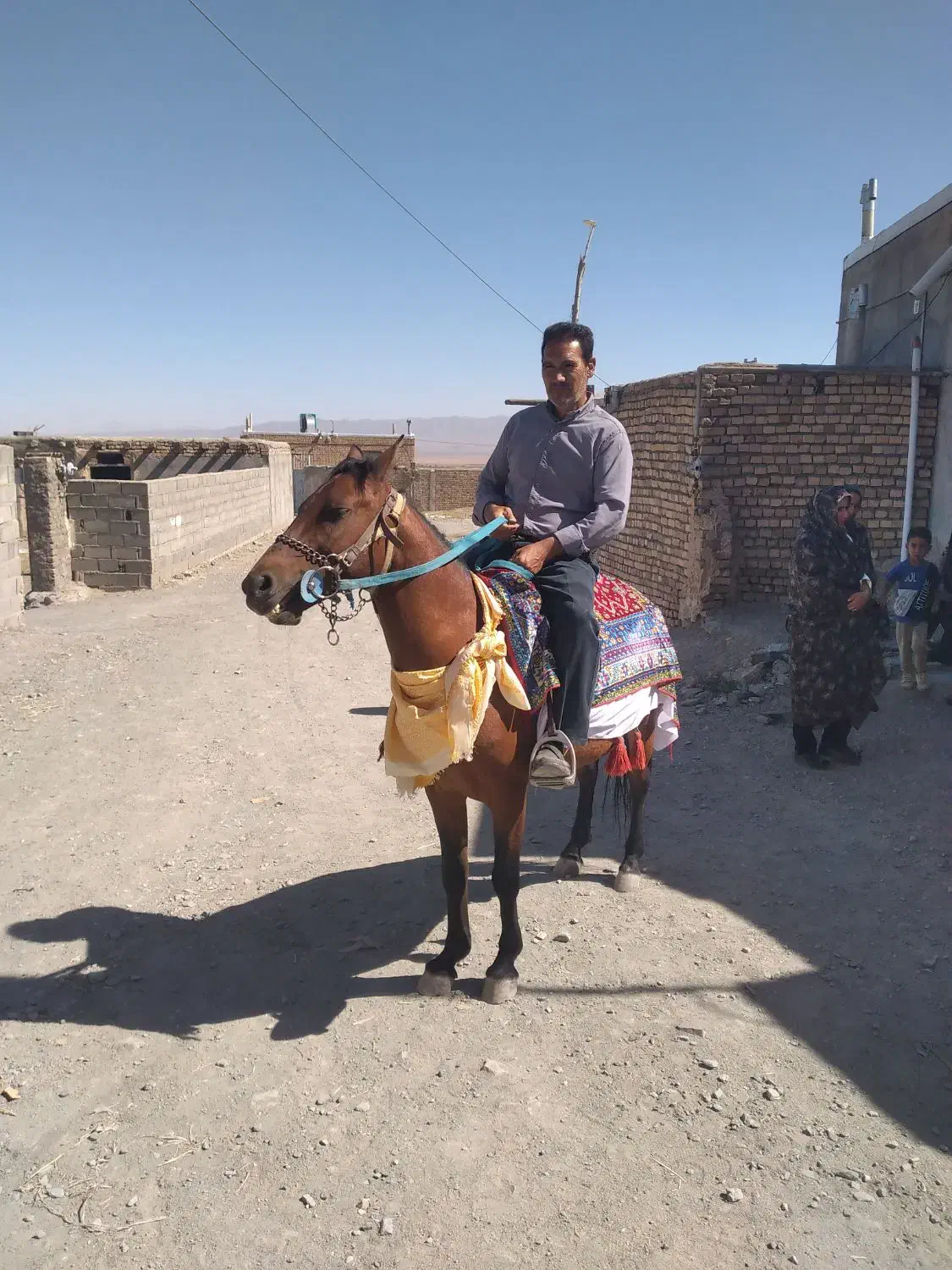 اسب نریان|اسب و تجهیزات اسب‌سواری|سبزوار, زینبیه|دیوار