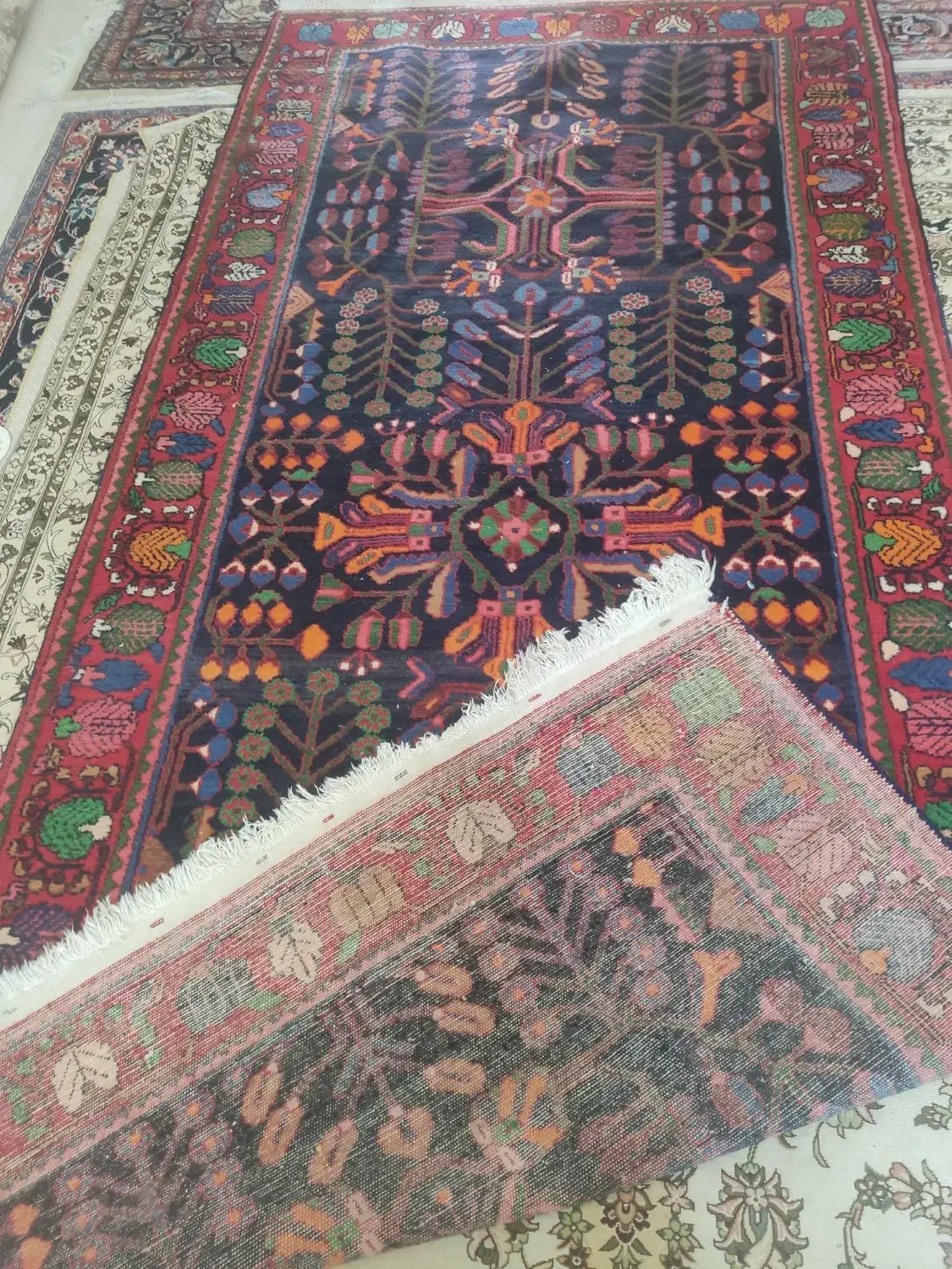 فرش دستبافت|فرش|تهران, باغ خزانه|دیوار